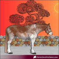 Horse Color:White Spotted Chestnut 
