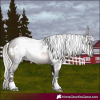 Horse Color:Gray White Spotted Silver Brown 