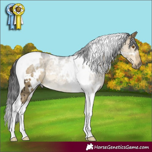 Horse Color:White Spotted Buckskin Dun Tobiano Brindle 