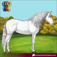 Horse Color:Chocolate Palomino Dun Sabino Near Fewspot Rabicano 