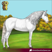 Horse Color:Chocolate Palomino Dun Sabino Appaloosa Rabicano 