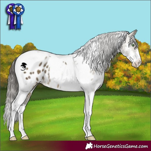 Horse Color:Buckskin Dun Sabino Tobiano Appaloosa Rabicano 