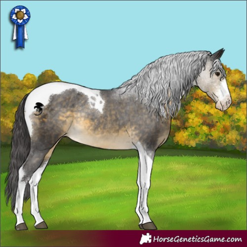 Horse Color:Buckskin Sabino Tobiano Varnish Rabicano 
