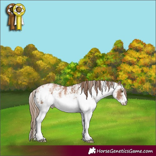 Horse Color:White Spotted Liver Chestnut Pearl 