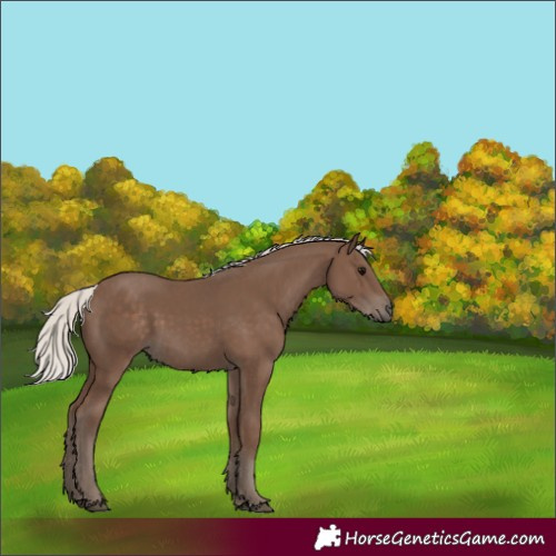 Horse Color:Silver Black 