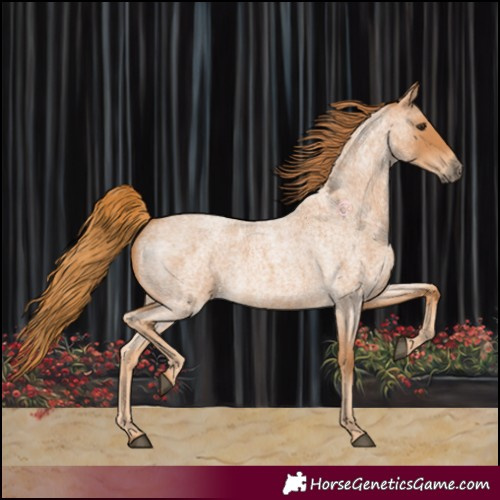Horse Color:Red Roan 