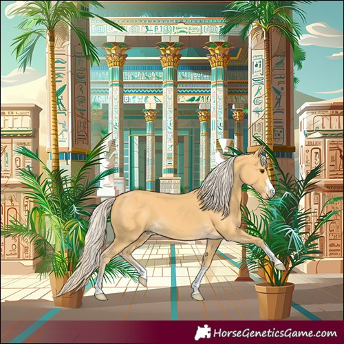 Horse Color:Palomino 