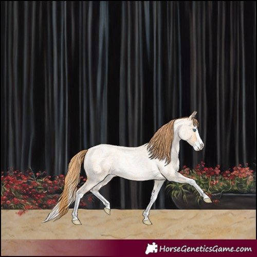 Horse Color:Buckskin Roan Pearl Splash Rabicano 
