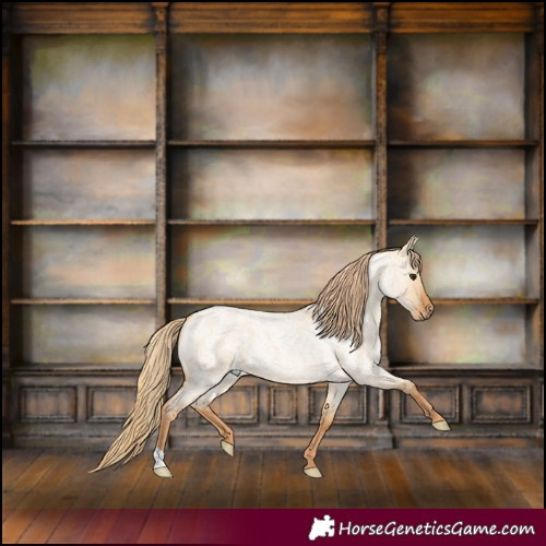 Horse Color:Red Dun Roan 