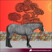 Horse Color:Blue Roan Splash 