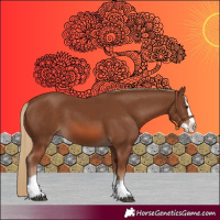 Horse Color:Chestnut Splash 