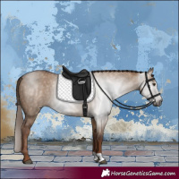 Horse Color:Gray Red Dun 