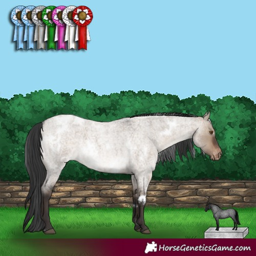 Horse Color:White Spotted Brown Roan Dun Varnish 