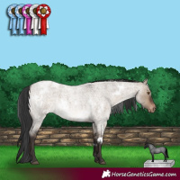 Horse Color:White Spotted Brown Roan Dun Varnish 