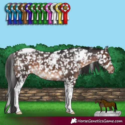 Horse Color:White Spotted Brown Tobiano Snowflake Varnish