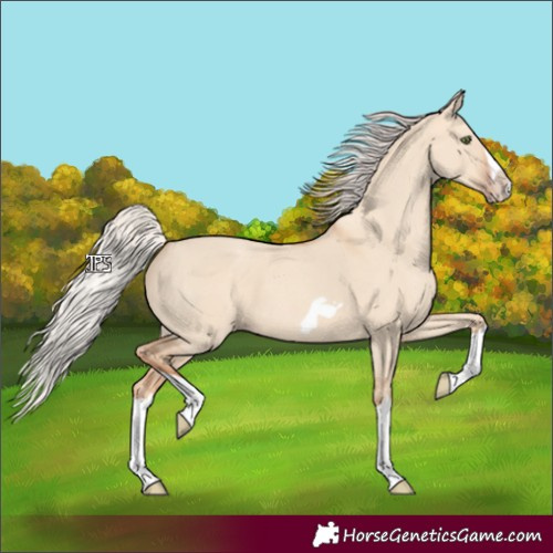 Horse Color:Silver Classic Champagne Dun Splash Frame 