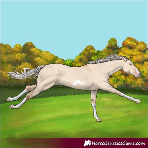 Horse Color:Silver Classic Champagne Dun Splash Frame 