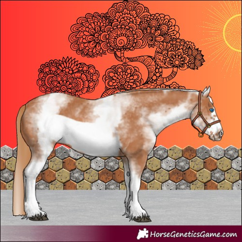 Horse Color:White Spotted Chestnut Frame