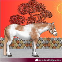 Horse Color:White Spotted Chestnut Frame 
