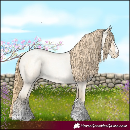 Horse Color:Buckskin Roan Pearl  and Buckskin Roan Pearl 