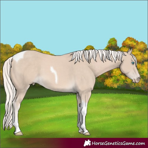 Horse Color:Cremello Tobiano 