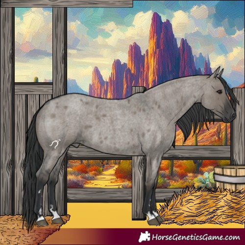 Horse Color:Grullo Roan 