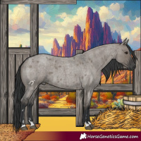 Horse Color:Grullo Roan 