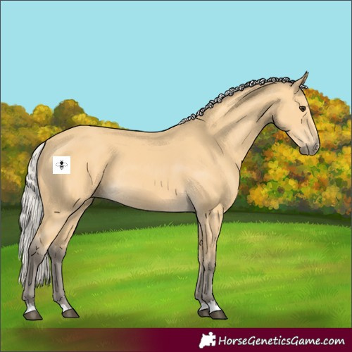 Horse Color:Silver Buckskin 