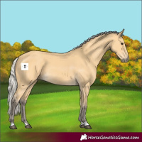 Horse Color:Silver Buckskin 