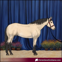 Horse Color:Buckskin