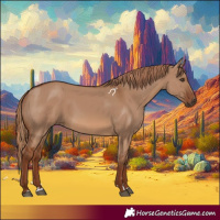 Horse Color:Red Dun 