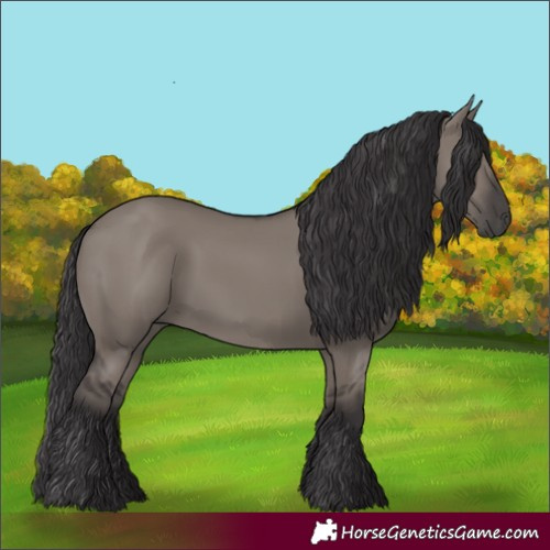 Horse Color:Smoky Grullo 