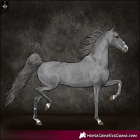 Horse Color:Black Varnish Rabicano 