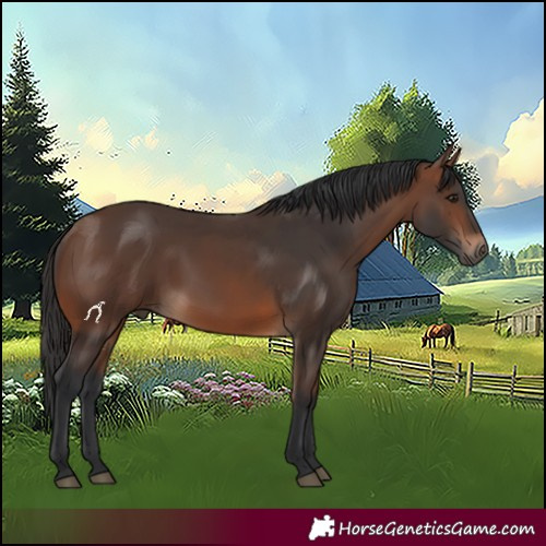 Horse Color:Brown 