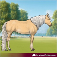 Horse Color:Palomino 