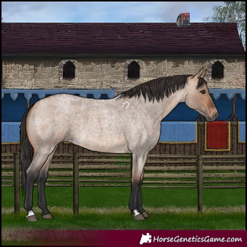 Horse Color:Bay Roan Dun 
