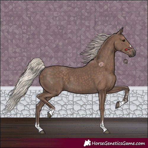 Horse Color:Silver Black 