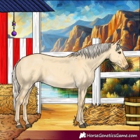 Horse Color:Palomino Dun 