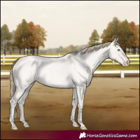 Horse Color:Smoky Creme Roan Dun 