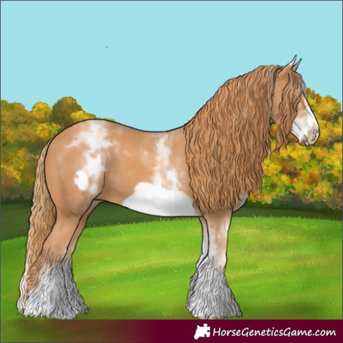 Horse Color:White Spotted Chestnut Frame 