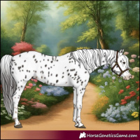 Horse Color:Liver Chestnut Leopard 