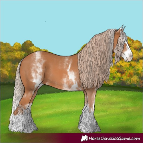 Horse Color:White Spotted Chestnut Splash 