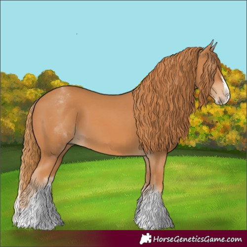 Horse Color:White Spotted Chestnut Splash 