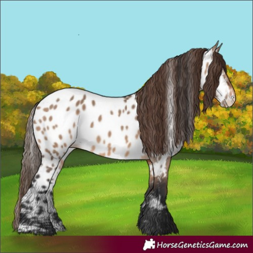Horse Color:Brown Dun Near Leopard 