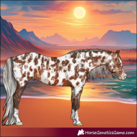 Horse Color:Sable Champagne Near Leopard  and Silver Brown Splash Near Leopard 