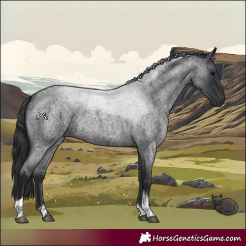 Horse Color:Blue Roan Tobiano 