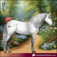 Horse Color:Gray Black 