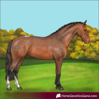 Horse Color:Bay Tobiano Varnish 