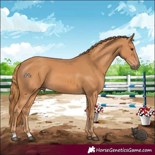 Horse Color:Unknown 