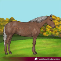 Horse Color:Silver Black 